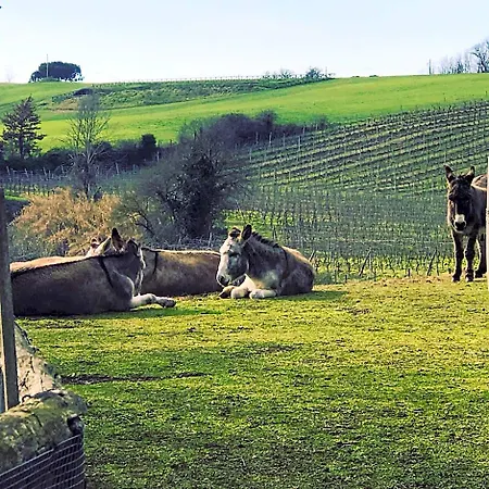 Borgo Del Gelso Nocleg ze śniadaniem 3*