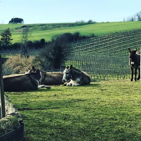 Borgo Del Gelso 3* Olgiata